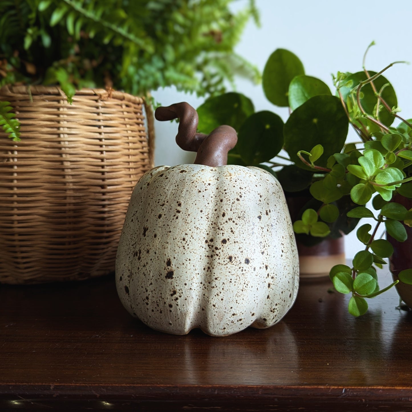 White Speckle Pumpkin - Large
