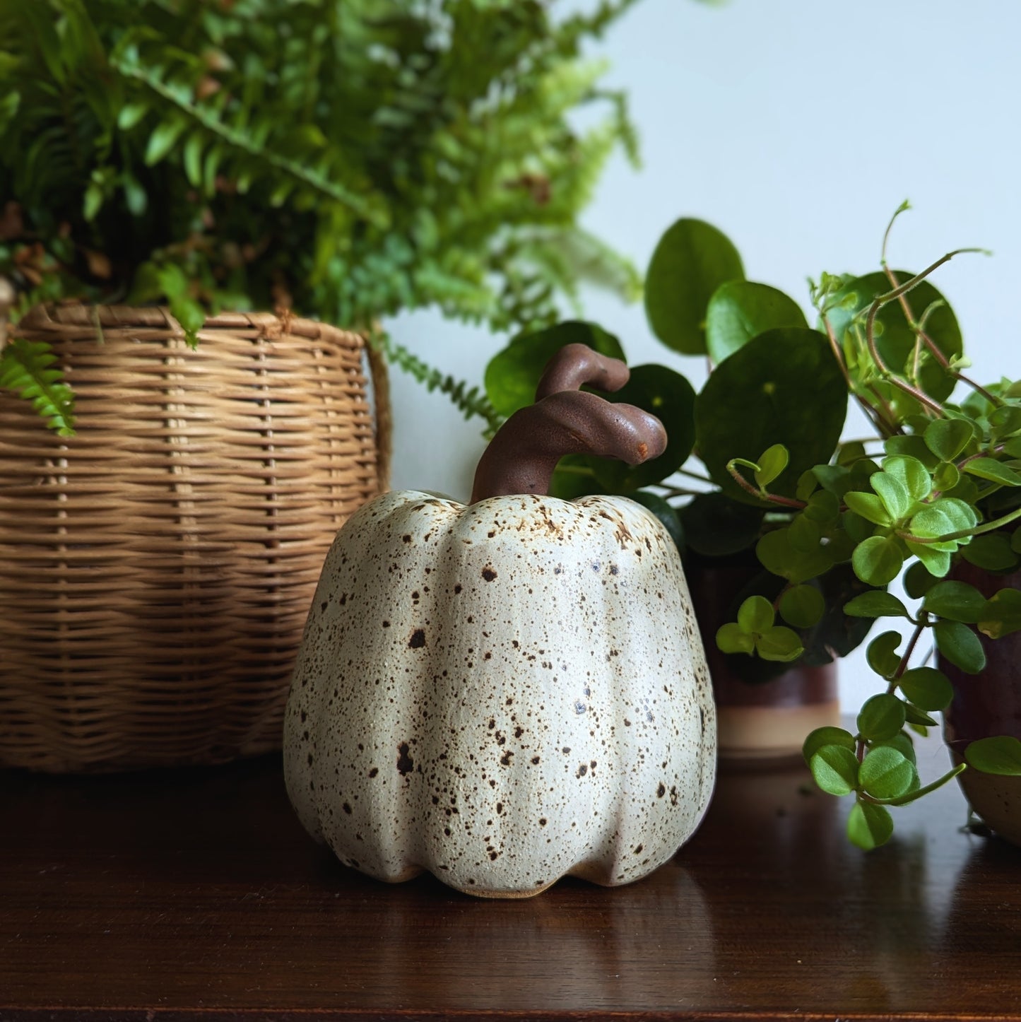 White Speckle Pumpkin - Large