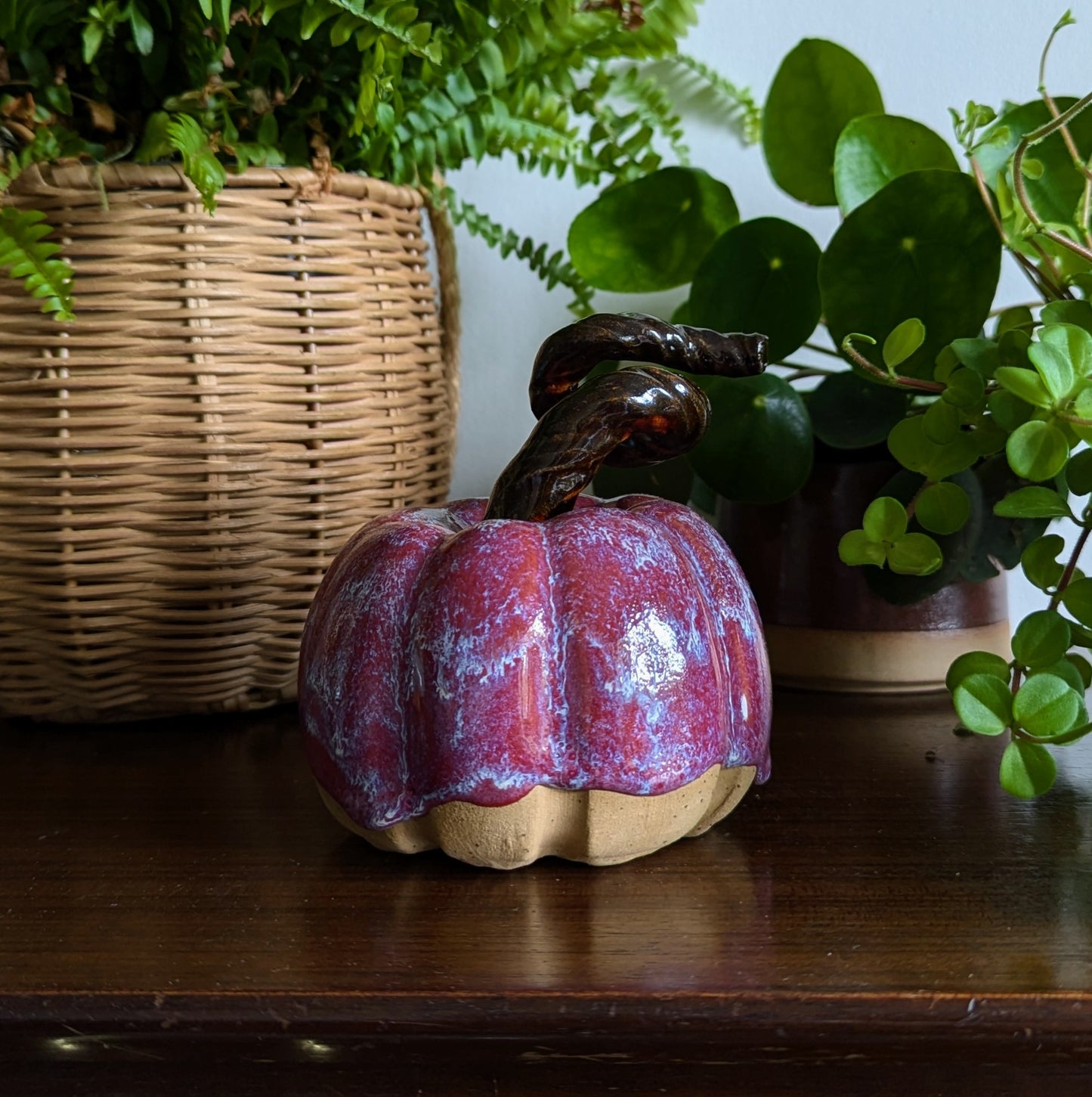Autumn Plum Pumpkin - Medium