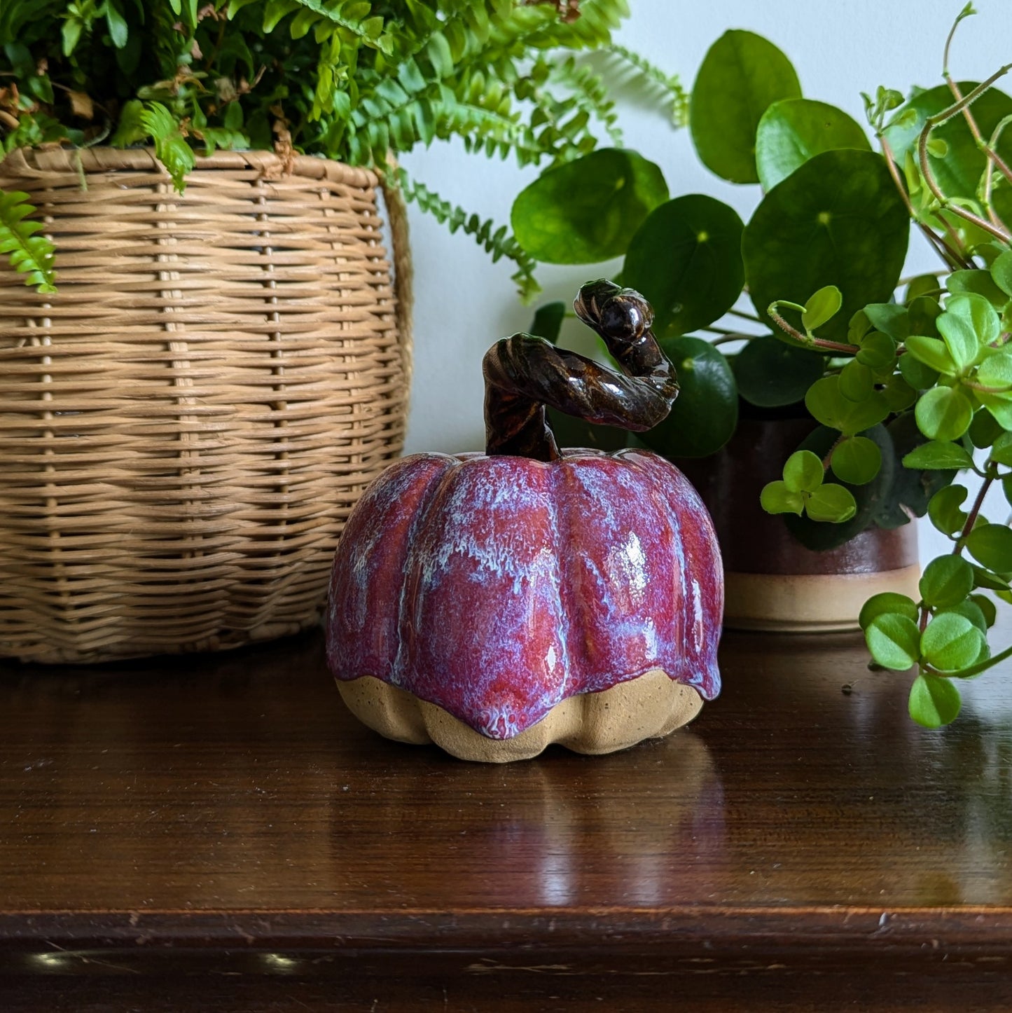 Autumn Plum Pumpkin - Medium