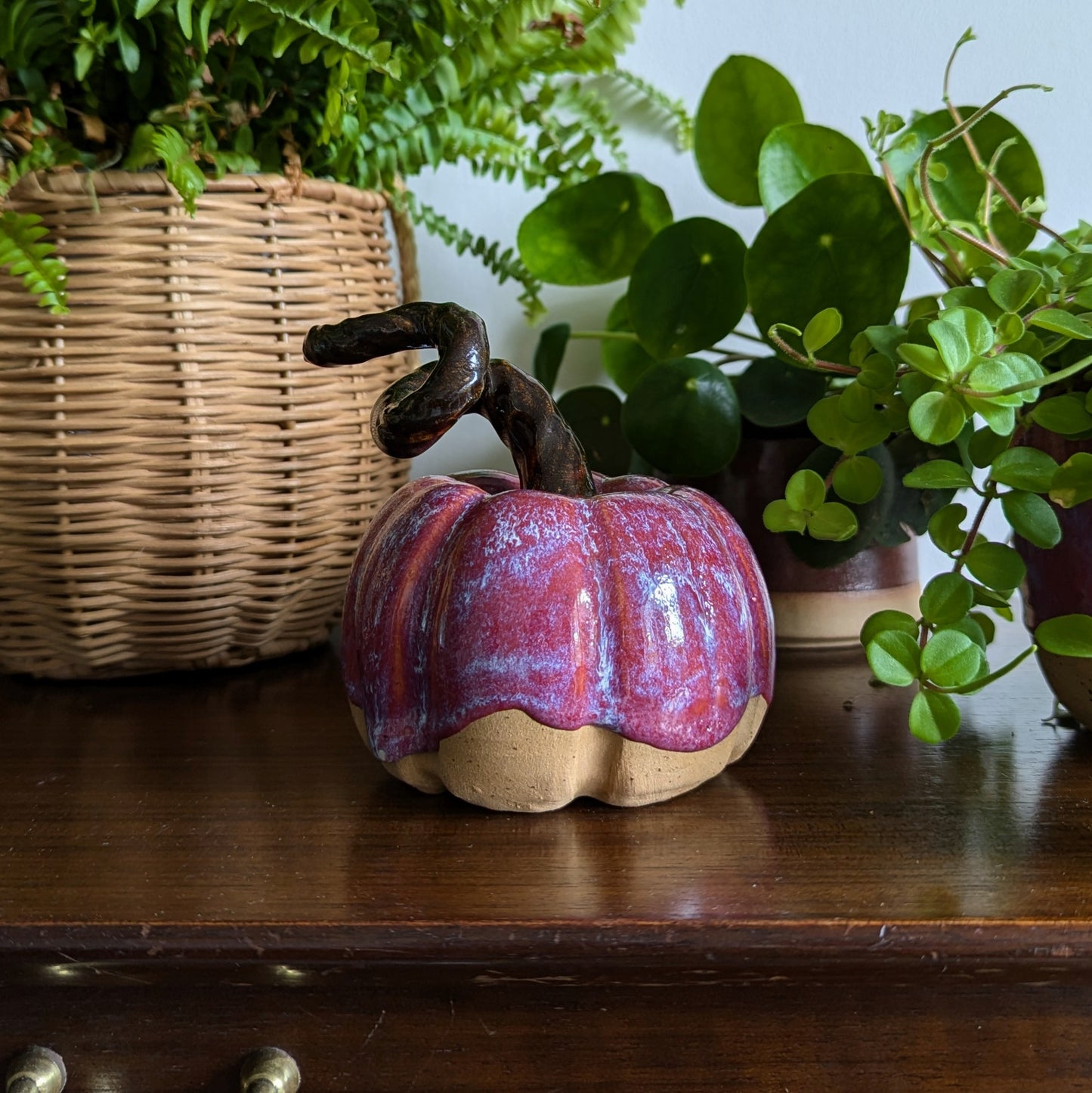 Autumn Plum Pumpkin - Medium