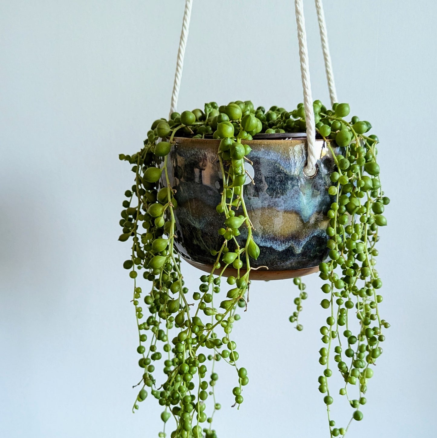 Loch Side Hanging Planter