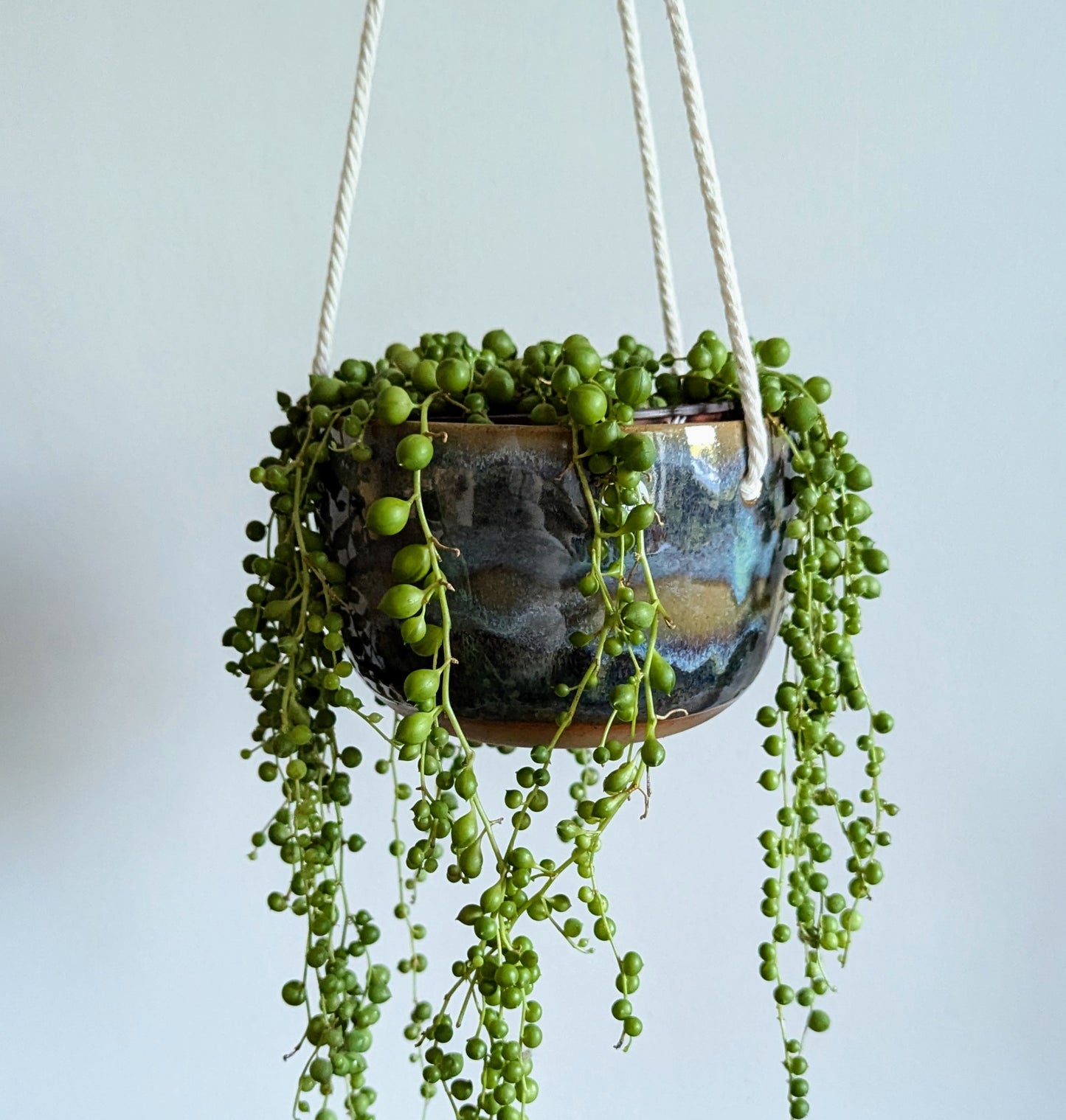 Loch Side Hanging Planter