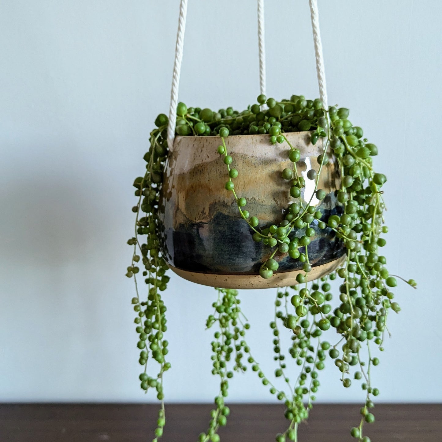 Mountain Side Hanging Planter