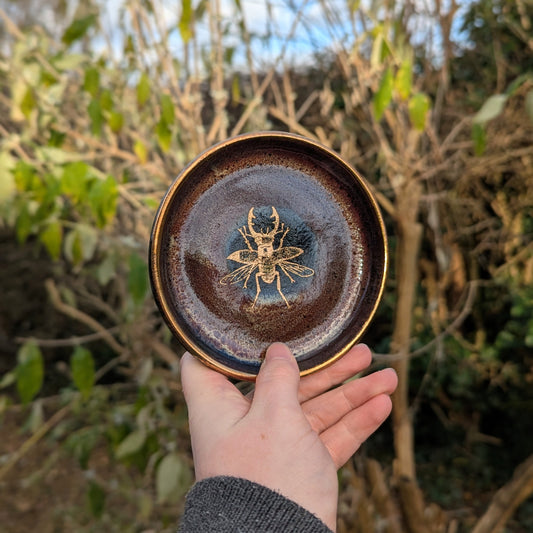 Beetle Trinket Dish - Dragons Blood