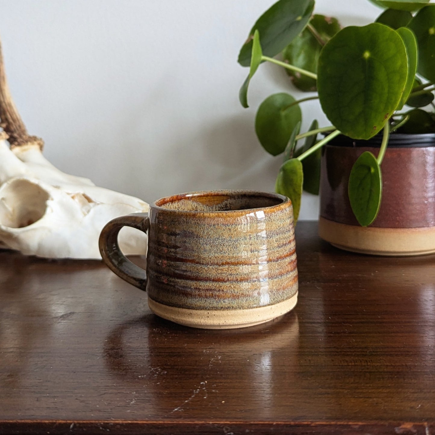 Fossil Espresso Mug