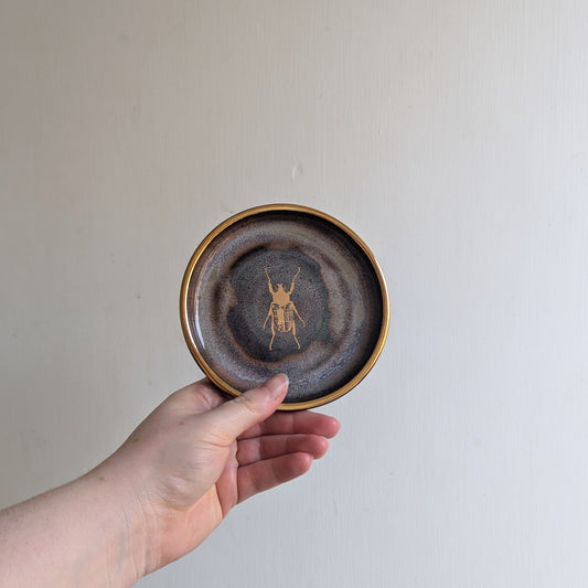 Beetle Trinket Dish - Mushroom