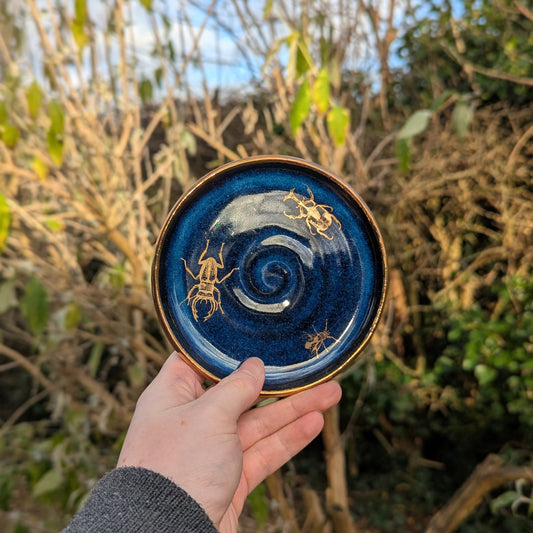 Beetle Trinket Dish - Azure