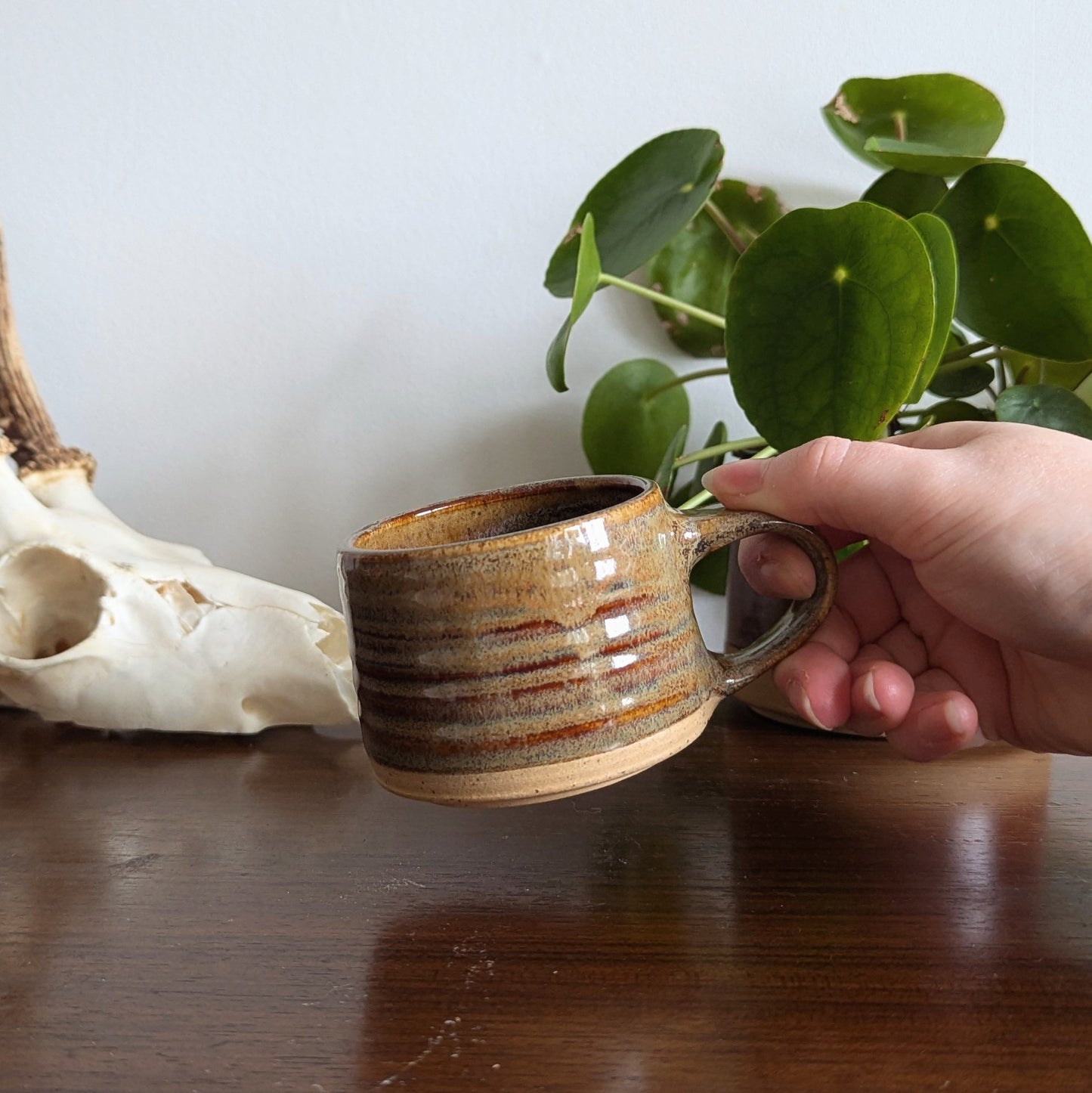 Fossil Espresso Mug