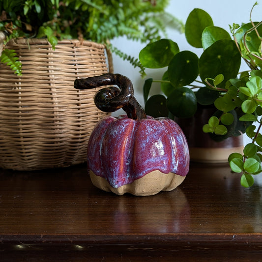 Autumn Plum Pumpkin - Medium