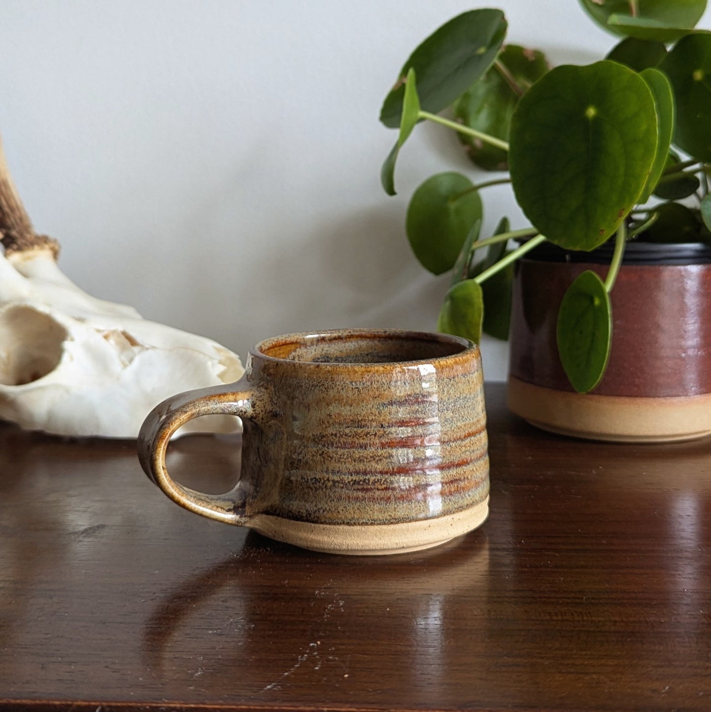 Fossil Espresso Mug