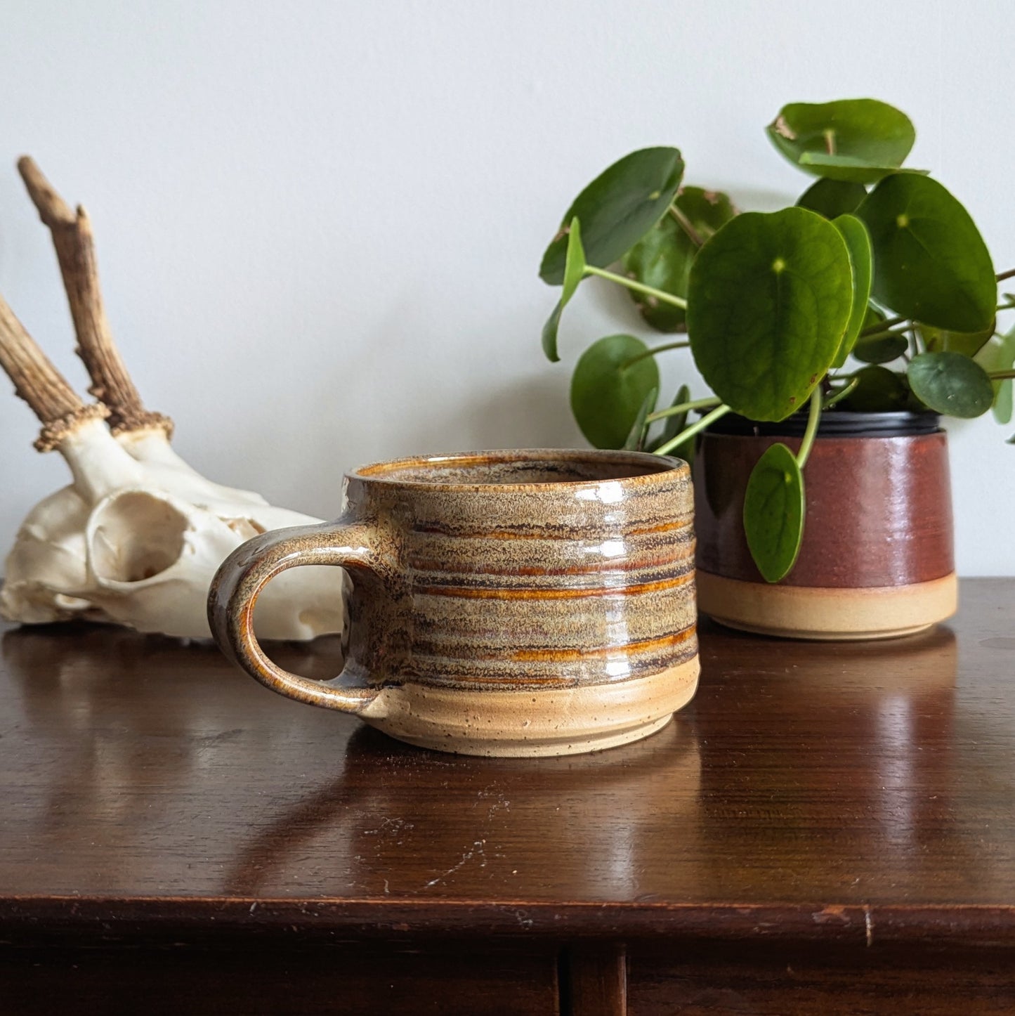 Fossil Standard Mug