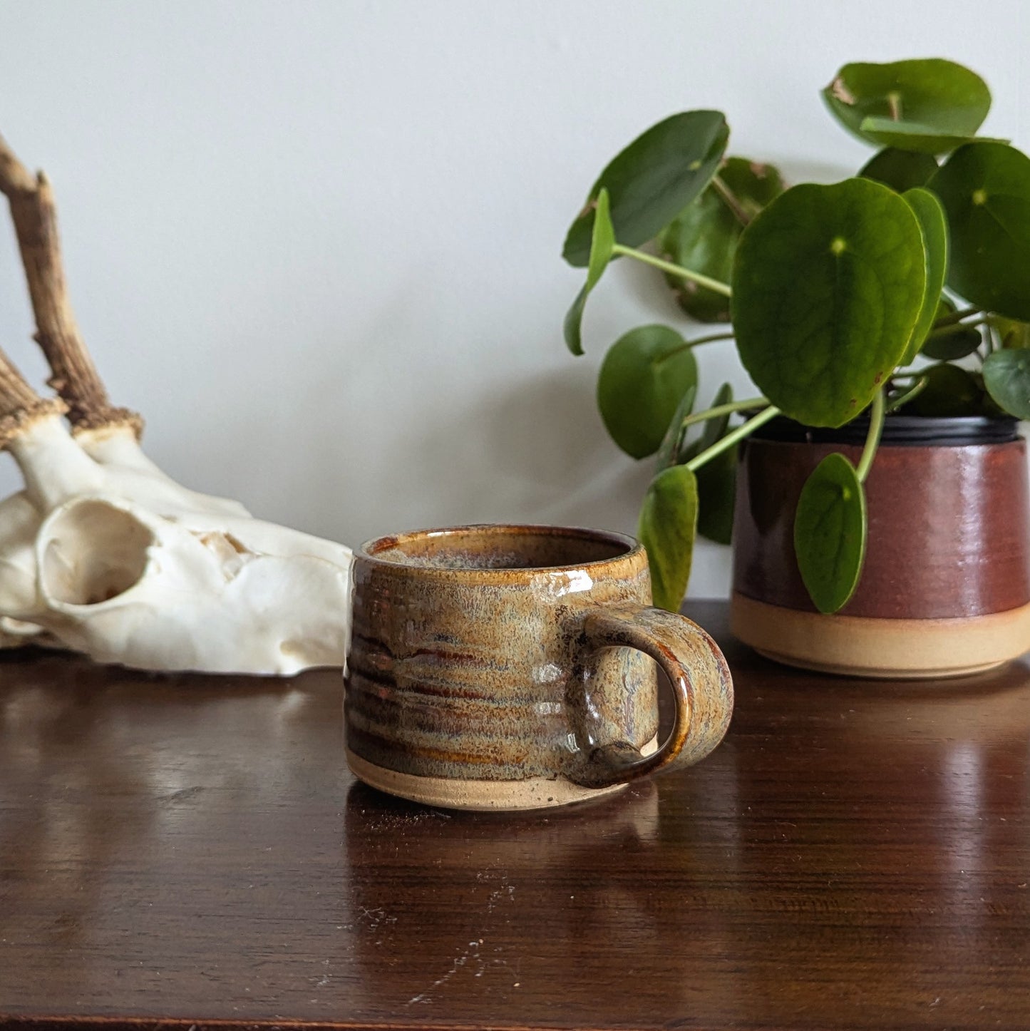 Fossil Espresso Mug