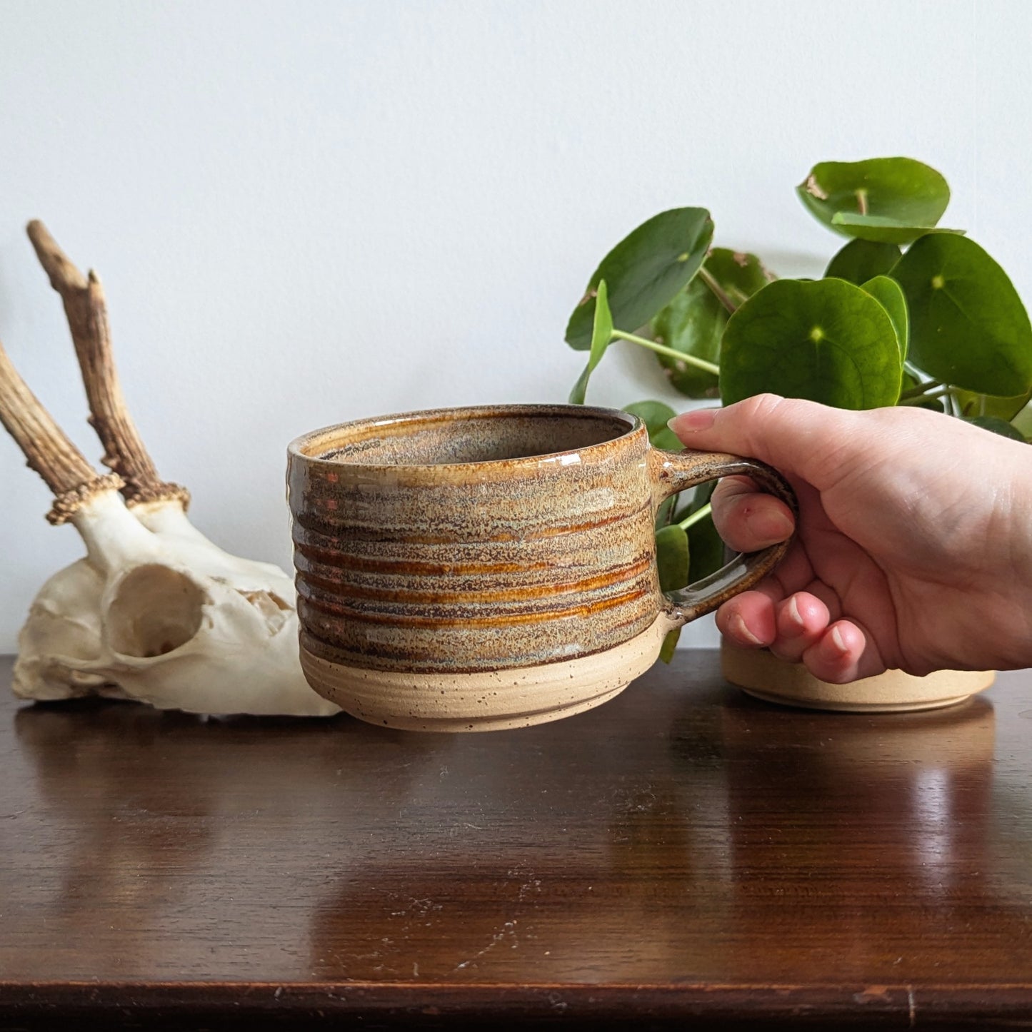 Fossil Standard Mug