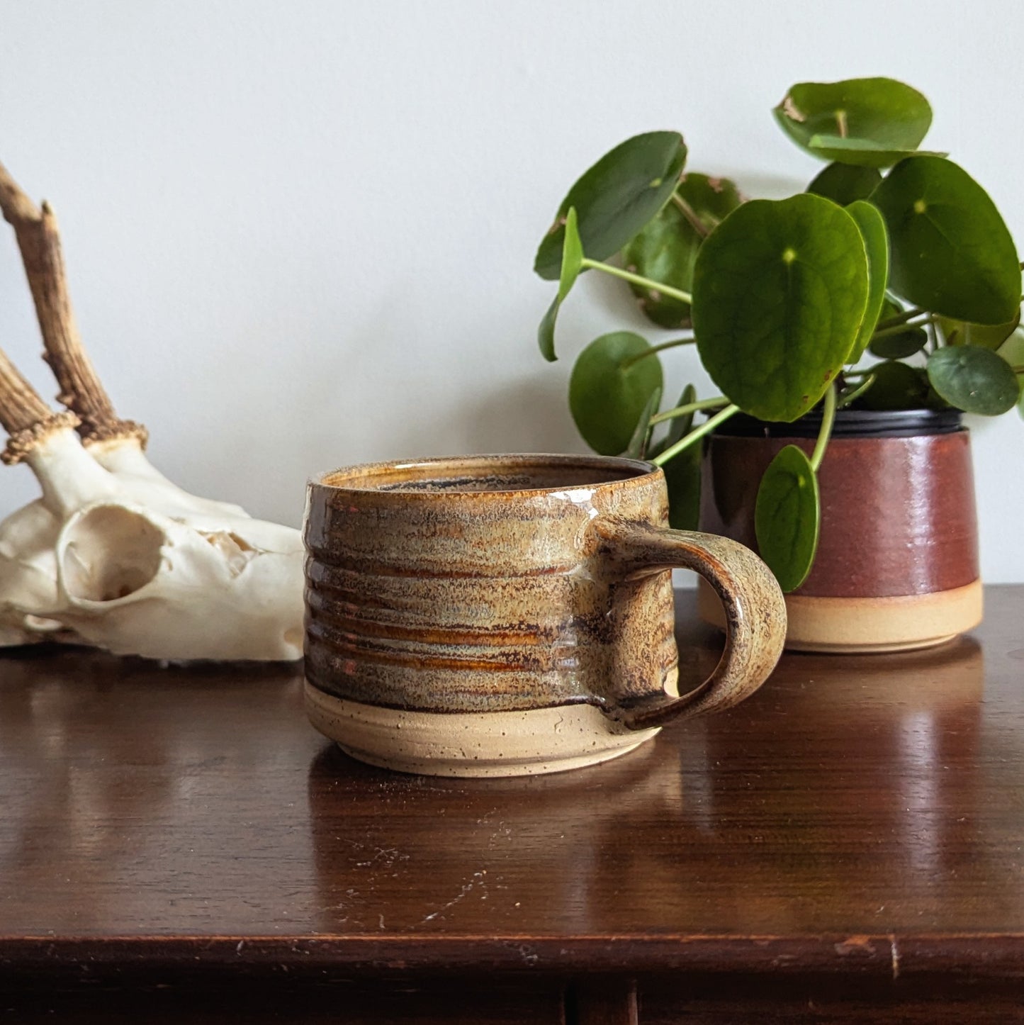 Fossil Standard Mug