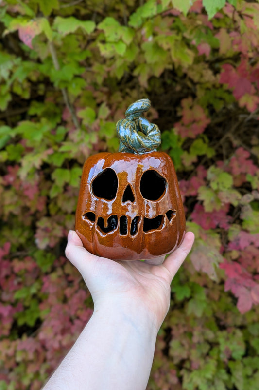 Medium Pumpkin - Phil